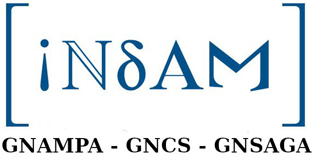 INDAM -- logo