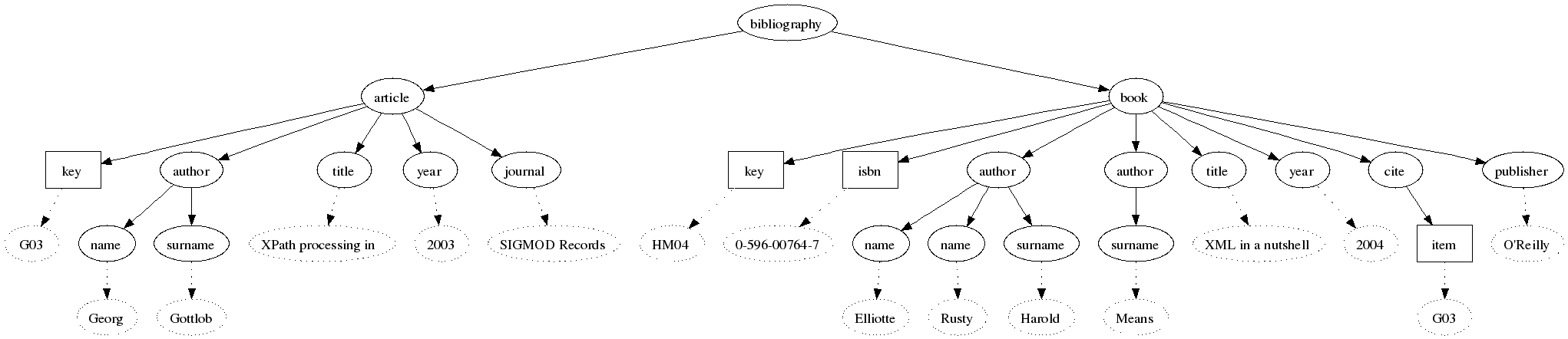 An XML tree