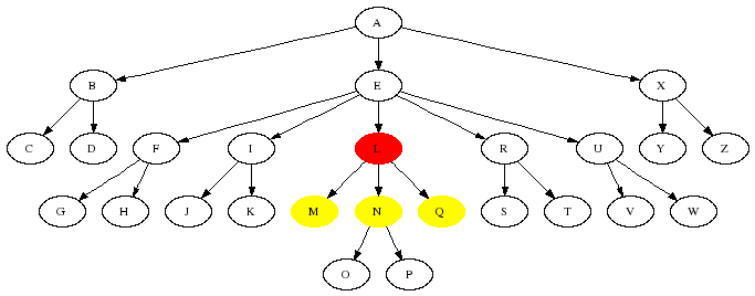 The effect of the child axis